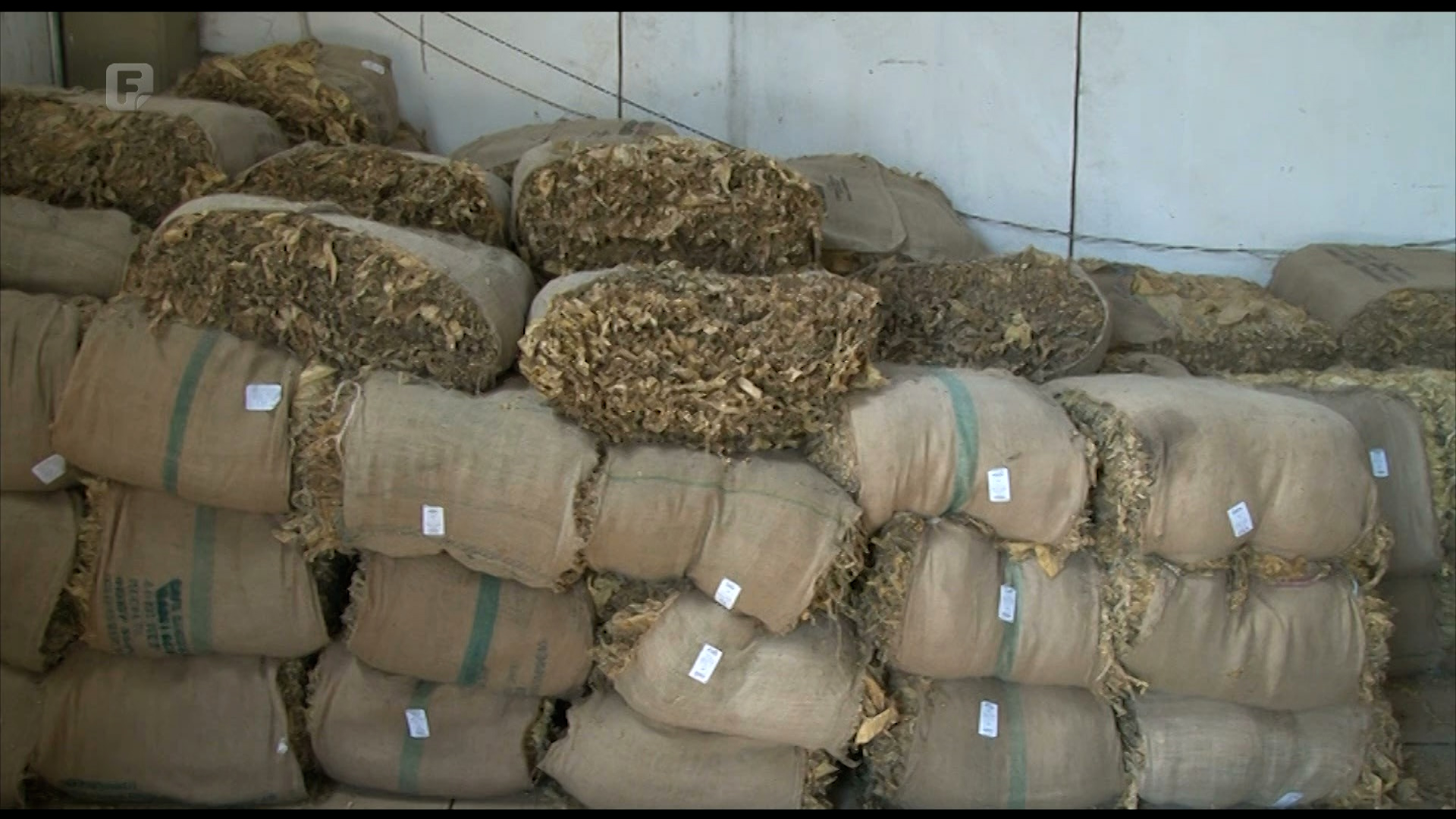 Na organizatore proizvodnje pao teret odgovornosti za količinu predatog roda